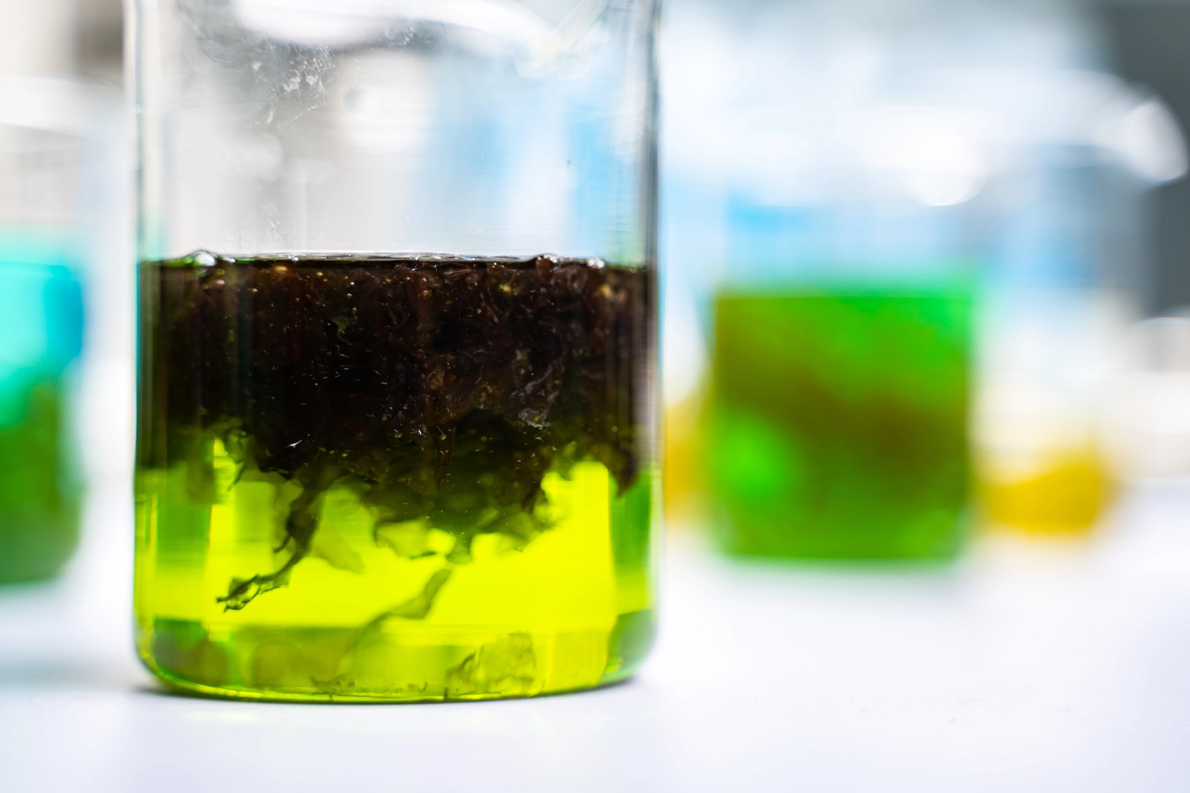 Specialty Chemicals for Industry